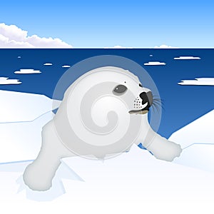 Seal puppy vector illustration