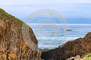 Seal Rock Beach on the Oregon Coast