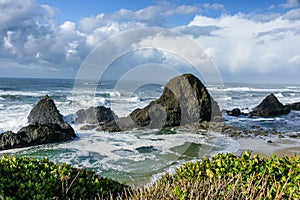 Seal Rock State Park