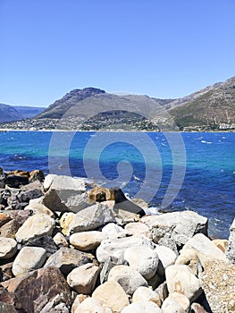 Seal sitting on a rock at hout Bay harbor cape Town, South Africa