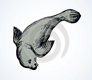 Seal. Vector drawing