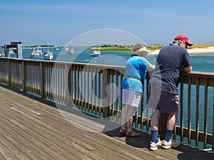 Seal-Watch from the Fish Pier