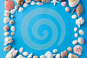 Frame of different sea shells on blue background