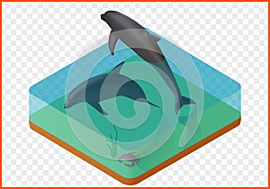 Sealife vector illustration