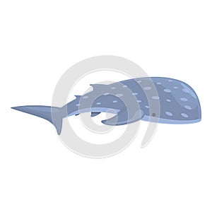 Sealife whale shark icon cartoon vector. Sea animal