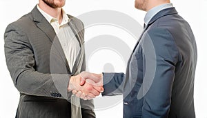 Sealing the Deal: Handshake of Two Businessmen in Negotiations