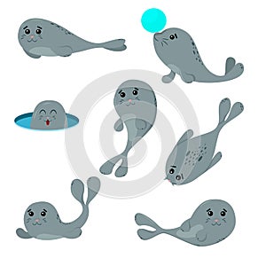 Sealion animal cartoon character isolated on white background