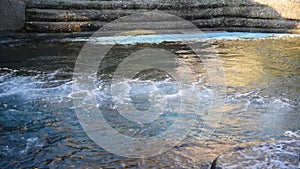 Sealion Playing In The Water At The Artis Zoo Amsterdam The Netherlands 2019