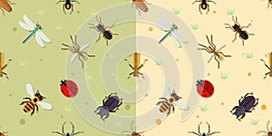 Sealmess insects pattern