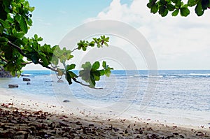 Sealodge Beach, North shore, Kauai, Hawaii