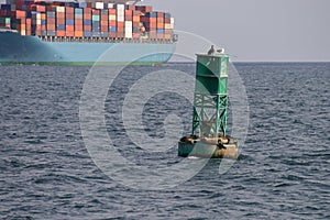 Seals on buoy with container ship.