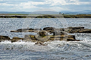 Seals on the Farne Islands - Northumberland - England