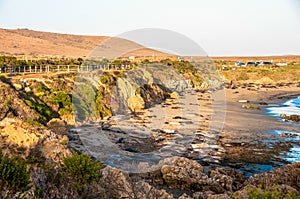 Seals and fur seals on the Pacific Ocean, Monterey, California, USA