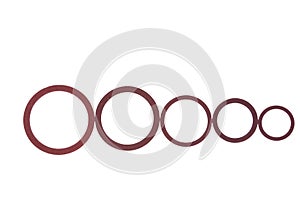 Seals , gaskets and O-rings isolated on white