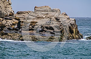 Seals on Lands End rocks formation at Cabo San Lucas, Mexico