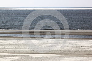 Seals upon sandbank near Hollum, Ameland