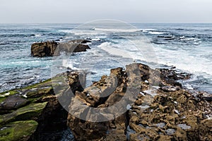 Seals and Seagulls on Rock Formations in La Jolla, California