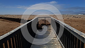 Seals, Skeleton coast, Namibia