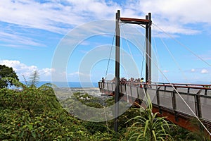 Sealy Lookout Forest Sky Pier at Coffs Harbour