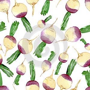 Seamlees pattern of watercolor rutabaga on white background