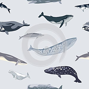 Simple seamless pattern with different whales.