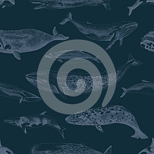 Blue Seamles pattern with whales.