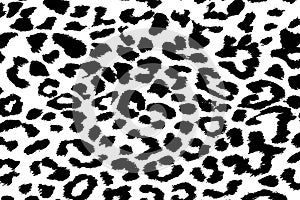 Seamless abstract background of black and white animal print background