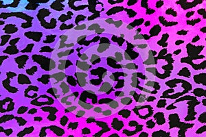 Seamless abstract background of purple and blue animal print background