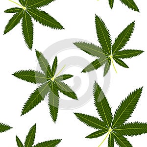 Hemp leaf pattern photo