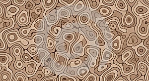 Abstract Topographic Pattern in Earth Tones