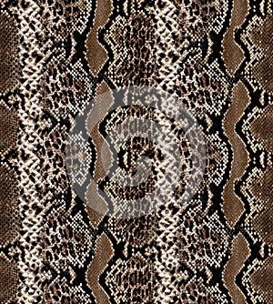 Seamless abstract pattern on a skin texture, snake.