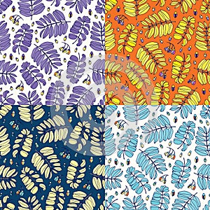 Seamless acacia floral colorful pattern. Set of colorful variations.