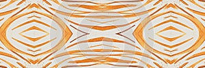 Seamless Animal Banner. Zebra Lines. Fashion