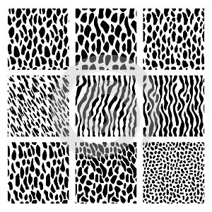 Seamless animal pattern set. Collection of print skin mammal fur and skin reptile. Printable Background vector