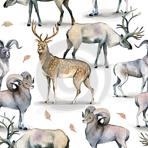 Seamless animal pattern, Watercolor background of stag, deer and mutton on white