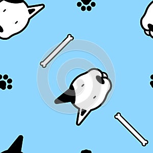 Seamless animal pet bull terrier dog repeat pattern with bone and foot print paw in blue background