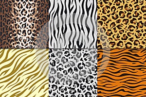 Seamless animal prints. Leopard tiger zebra skin patterns, texture stripes backgrounds. Vector Africa animals different