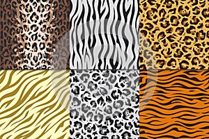 Seamless animal prints. Leopard tiger zebra skin patterns, texture stripes backgrounds. Vector Africa animals different photo