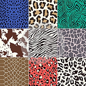 Seamless animal skin pattern