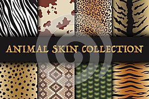 Seamless animal skin patterns set. Safari textile of Giraffe, tiger, zebra, leopard, reptile, cow, snake and jaguar