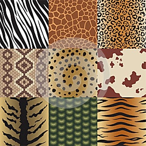 Seamless animal skin patterns set. Safari textile of Giraffe, tiger, zebra, leopard, reptile, cow, snake and jaguar