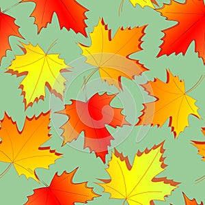 seamless asymmetric pattern of autumn maple leaves on a green background