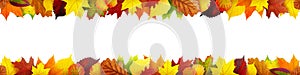 Seamless autumn leaves banner