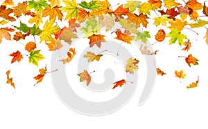 Seamless autumn leaves