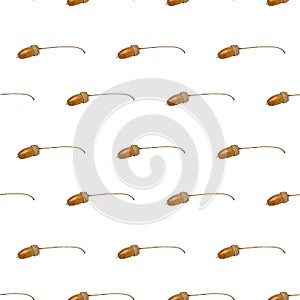 Seamless autumn pattern acorn on white background