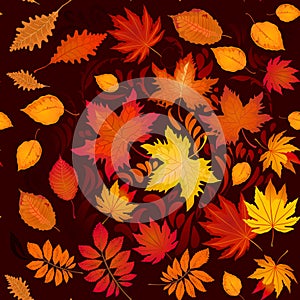 Seamless autumn pattern with leaves and whorl vector illustration photo