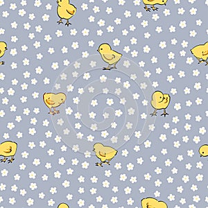 Seamless baby pattern with cute little chickens