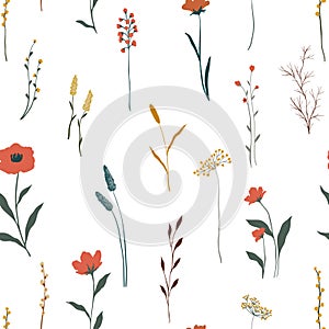 Seamless background abstract art with summer meadow plants, wild flowers, leaves branch and Hand Drawn doodle Scribble floral