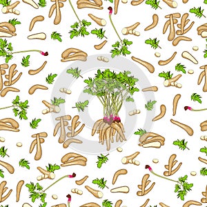 Seamless background of arracacha. Whole, half, sliced arracacha, arracacia with leaves. Organic vegetables. Vector