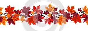 Senza soluzione di continuità autunno acero foglie 